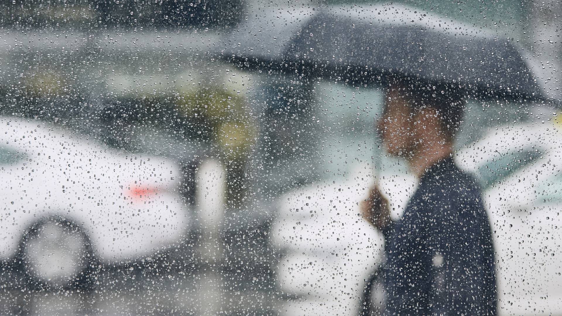 شخص يحمل مظلة تحت المطر