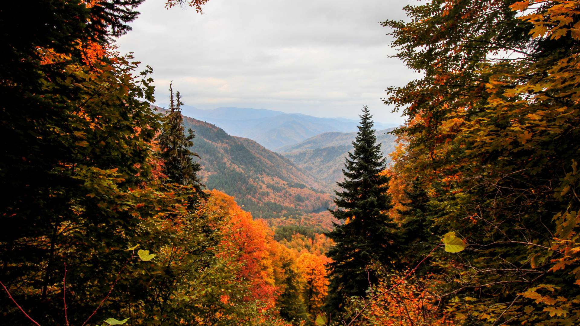 أجواء خريفية" تعبيرية"