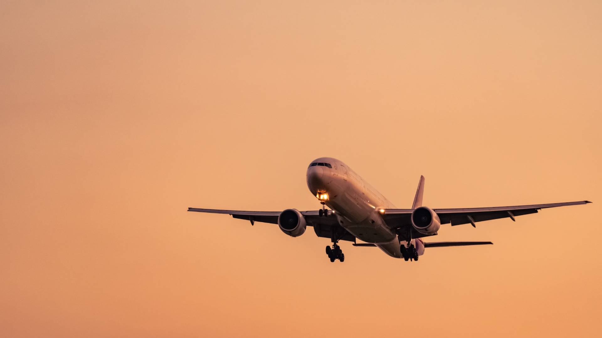 صورة تظهر أحد الطائرات تحلق