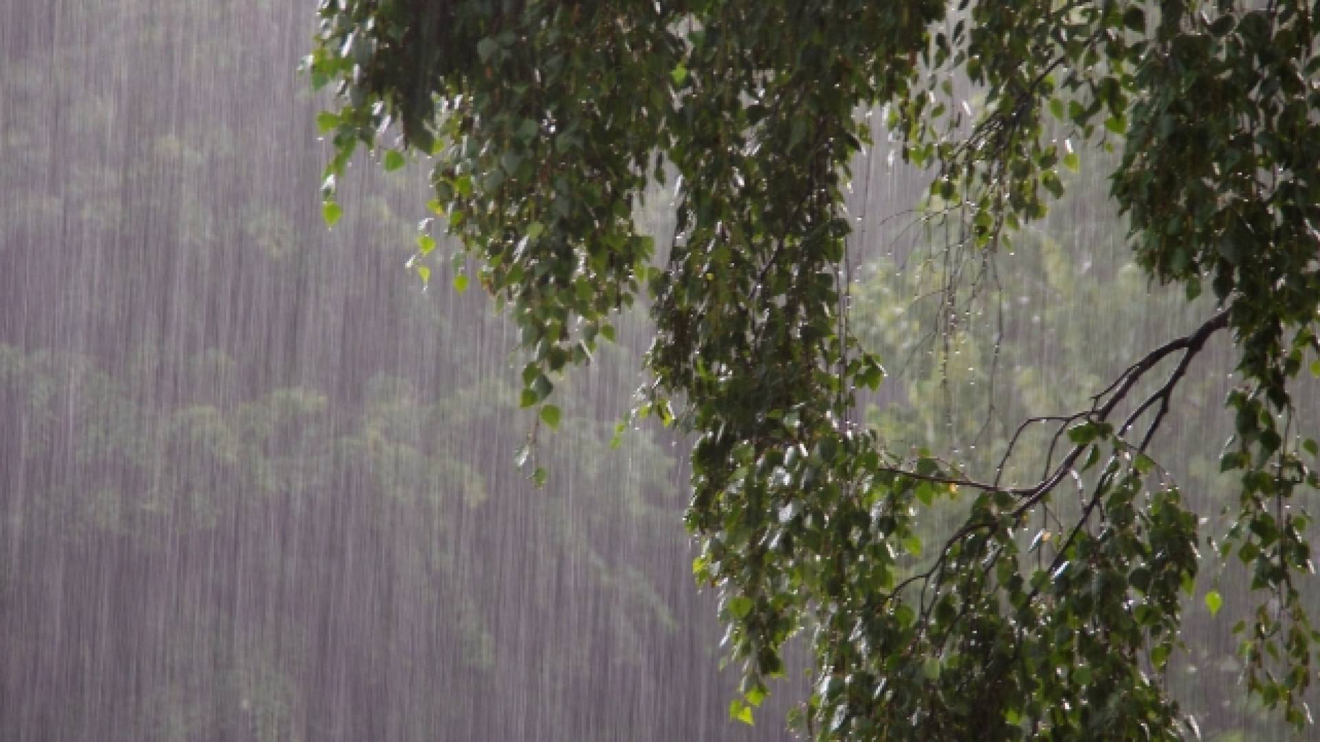 أمطار - تعبيرية