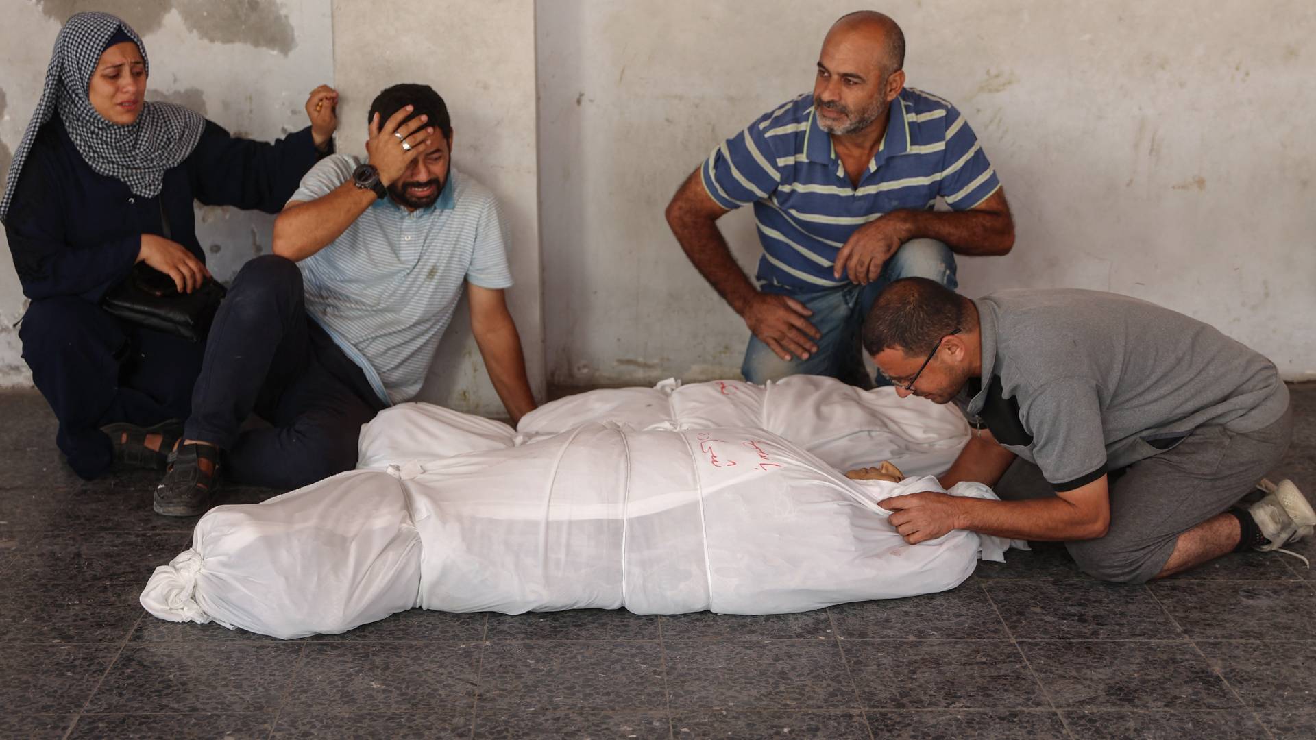 شهداء في غزة