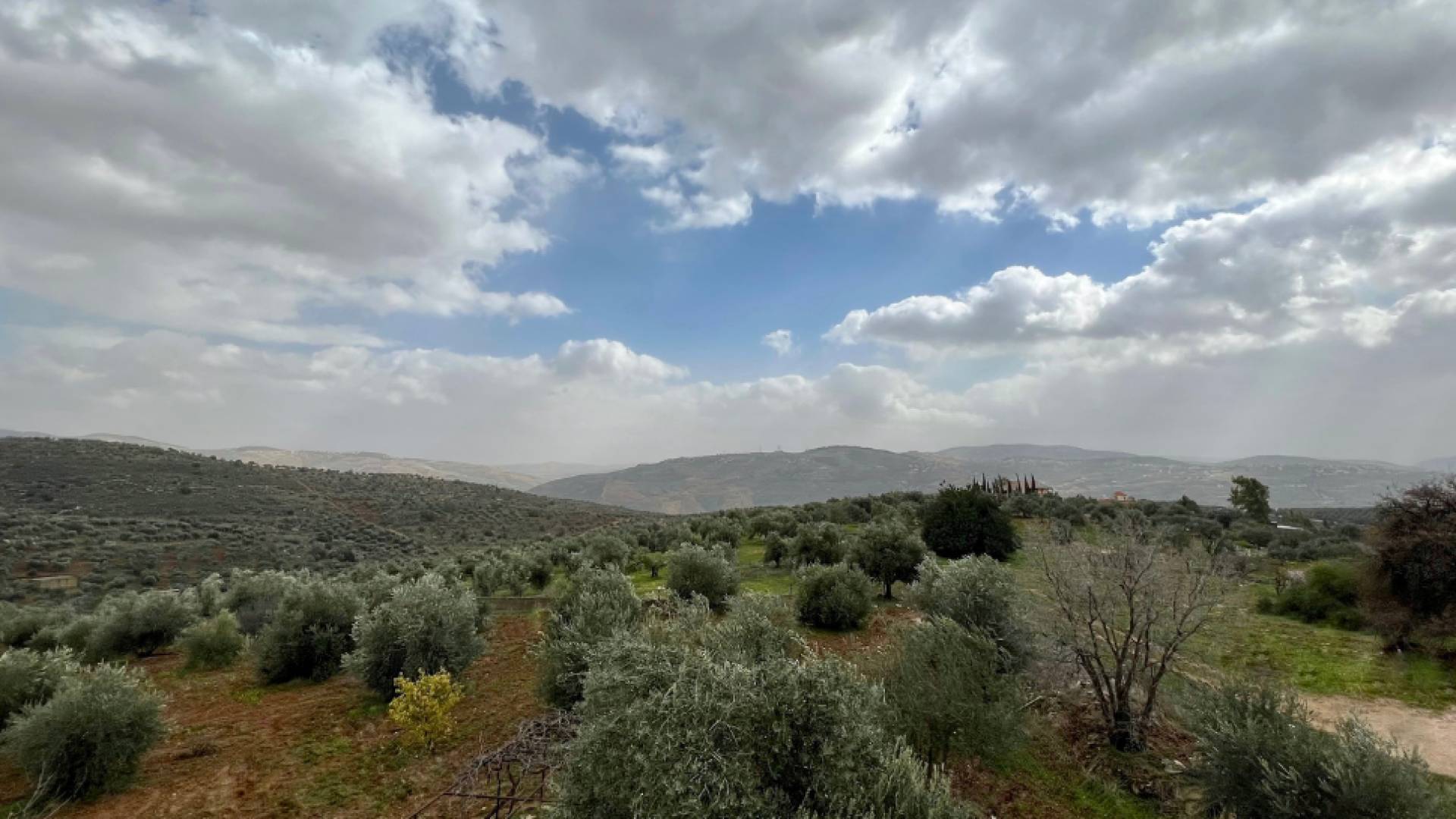 موعد تراجع تأثير الموجة الباردة عن أجواء الأردن