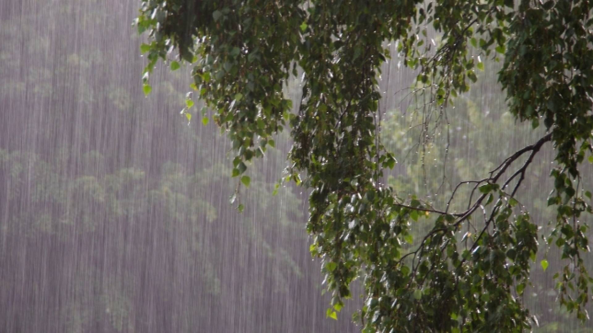 أمطار - تعبيرية