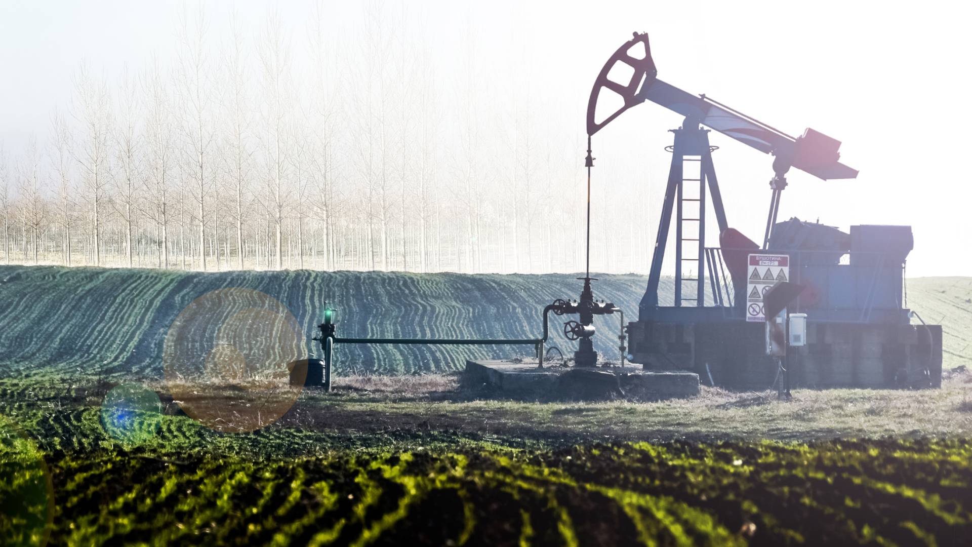 حقل نفطي