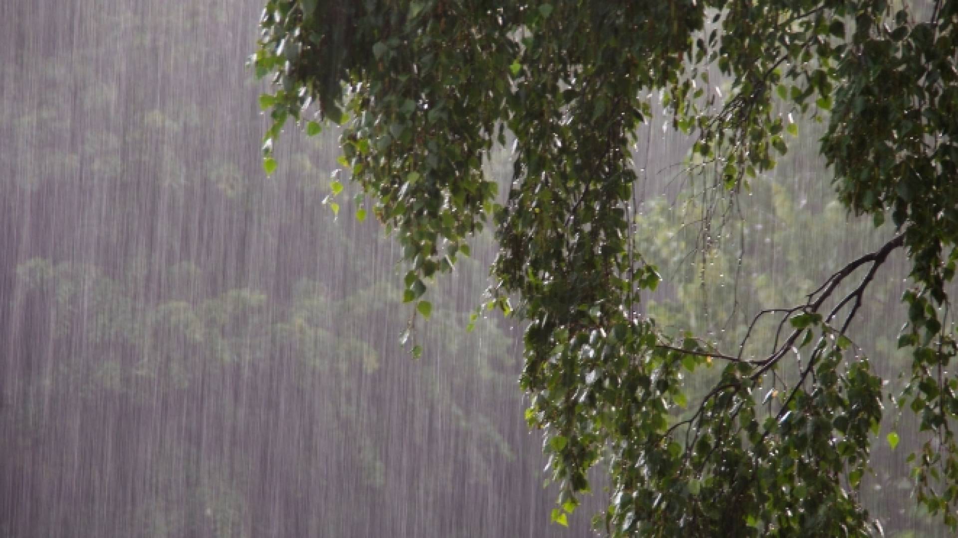 أمطار غزيرة - تعبيرية