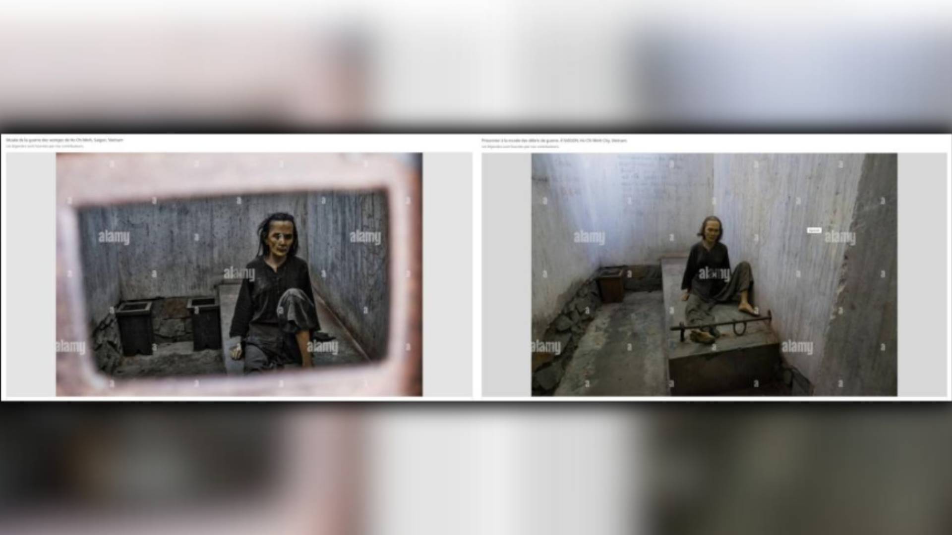 صور متداولة