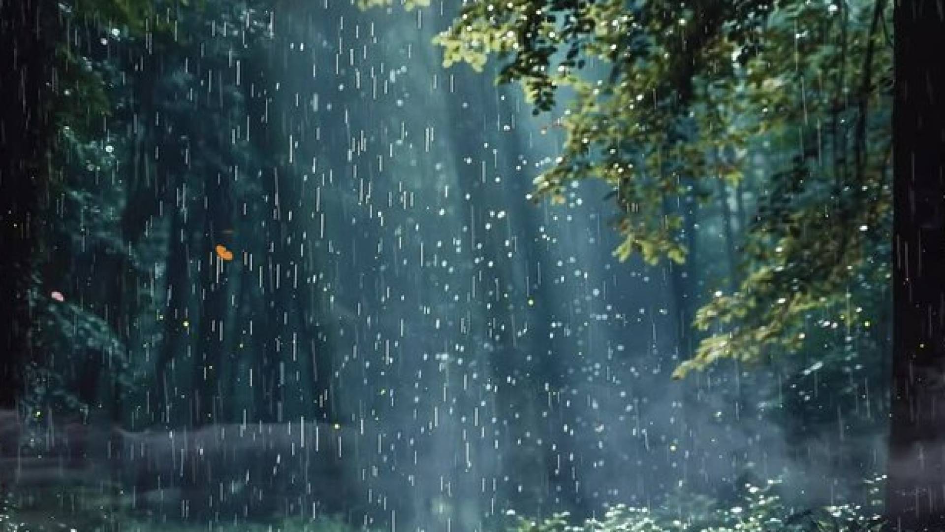 صورة تعبيرية عن الامطار