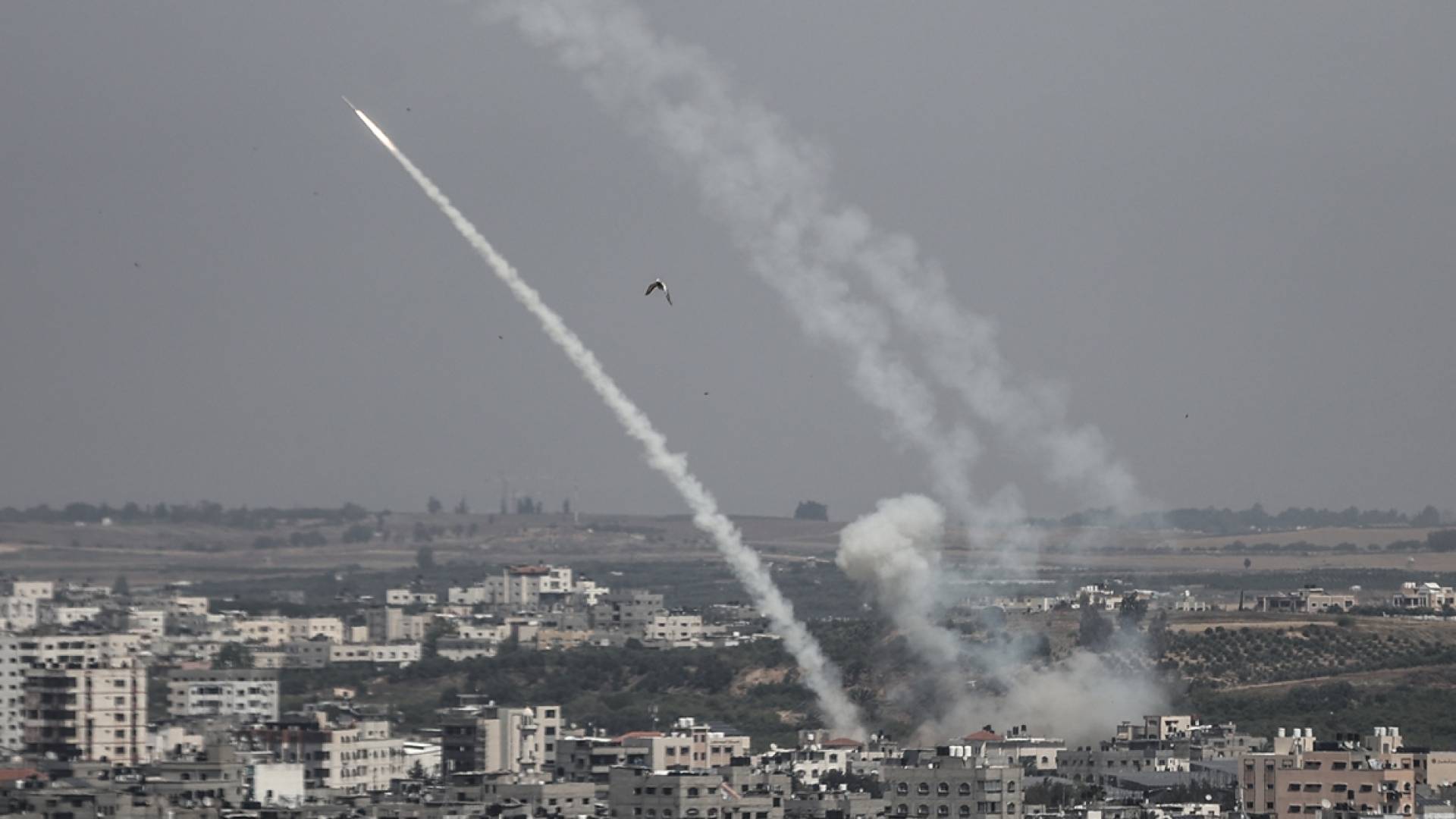 صاروخ للمقاومة