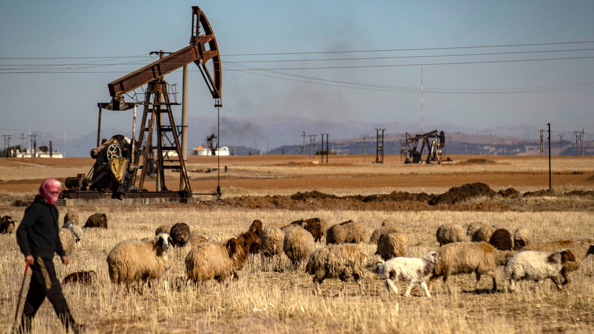 راعي أغنام يمشي بجوار حقل الرميلان النفطي في شمال شرق سوريا