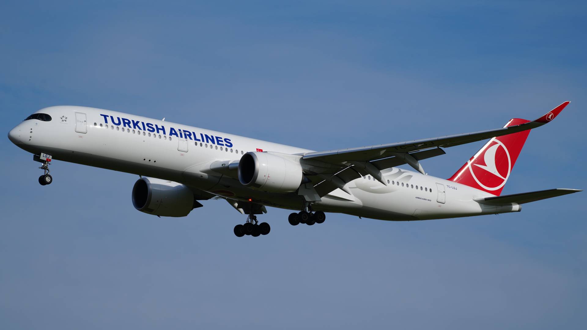 الخطوط الجوية التركية