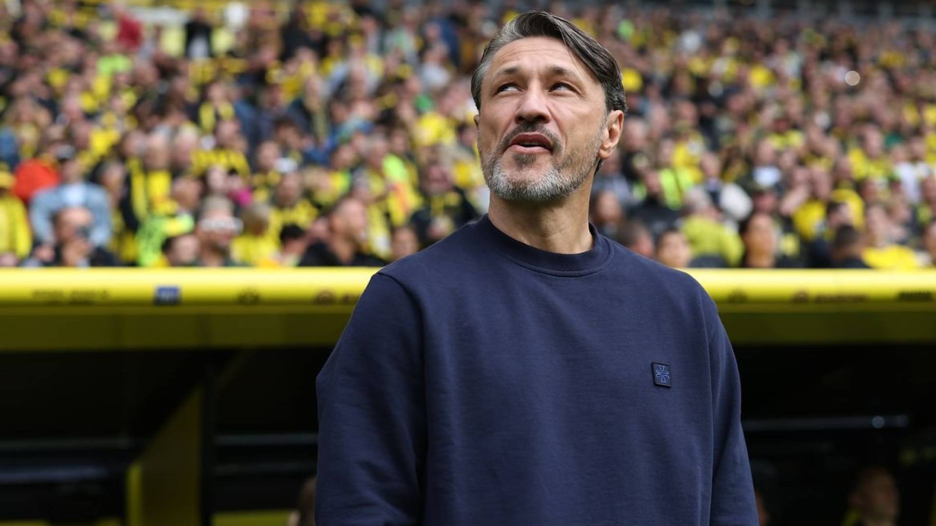 نيكو كوفاتش