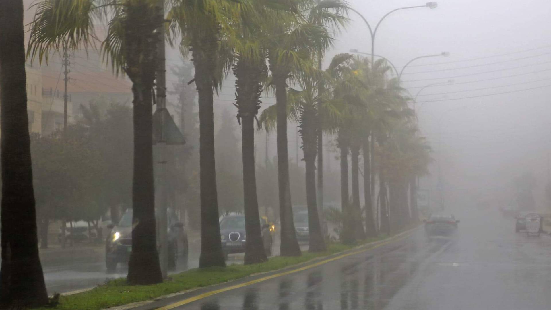 ضباب - أرشيفية