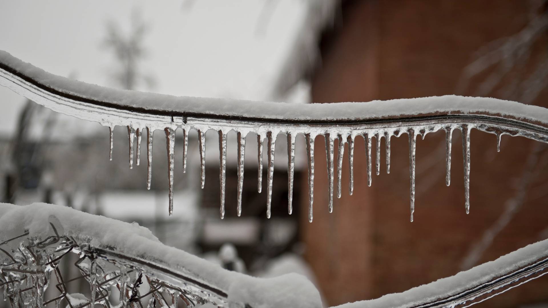 انجماد "أرشيفية"
