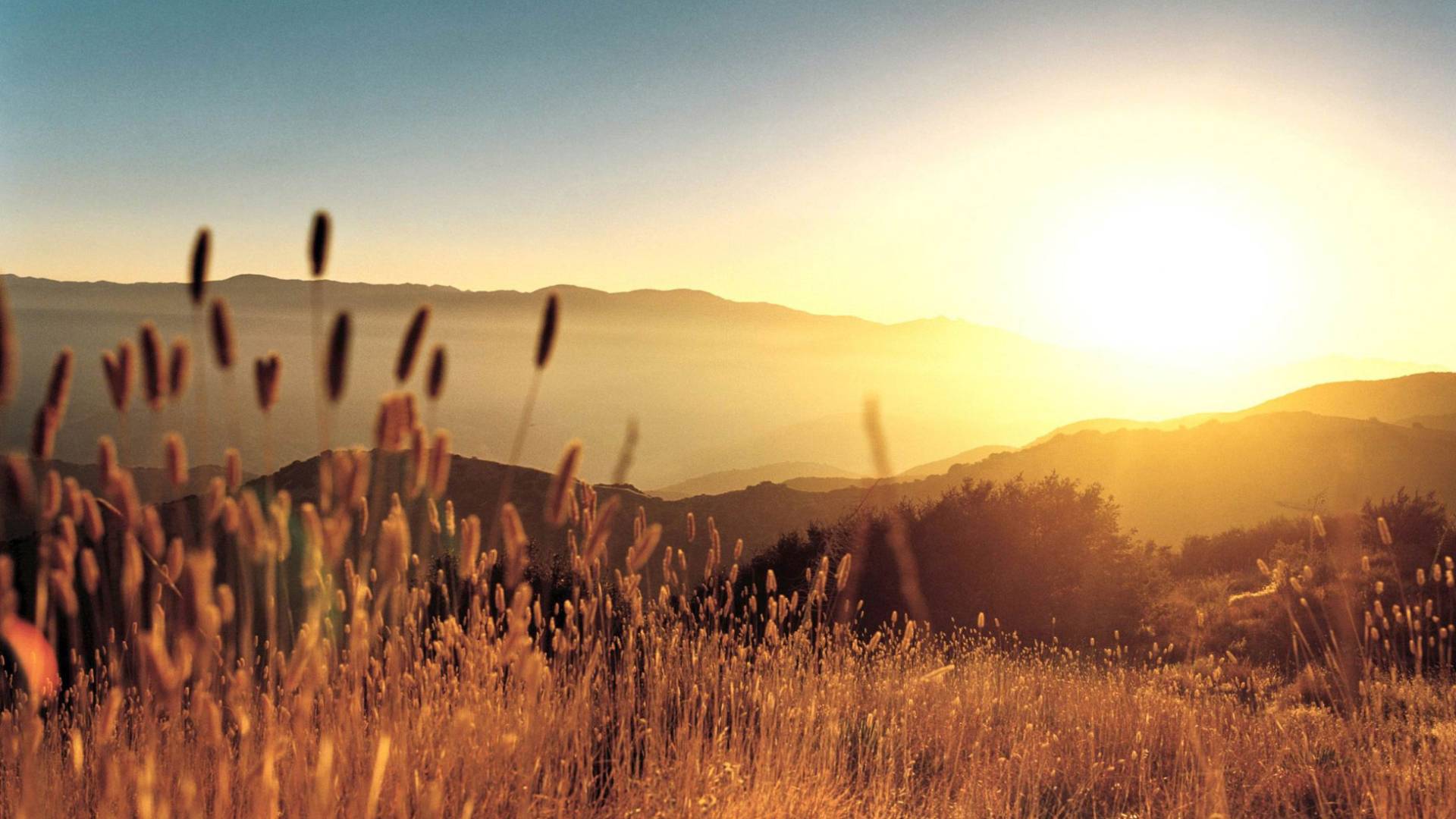 اجواء مشمسة