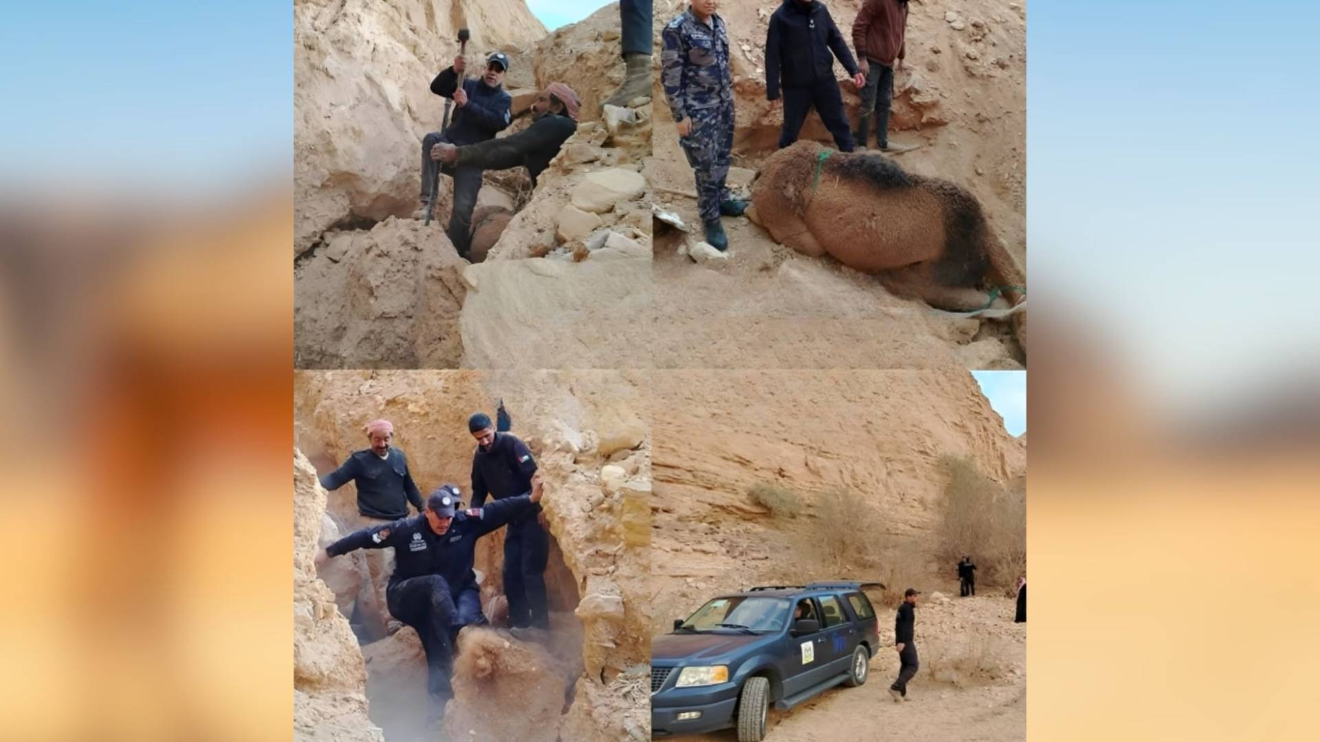 إنقاذ وإخلاء جمل