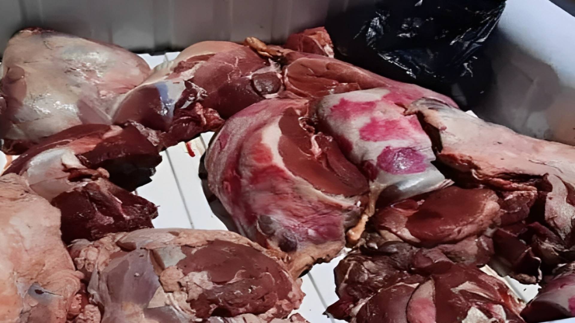 صورة تظهر لحوم فاسدة