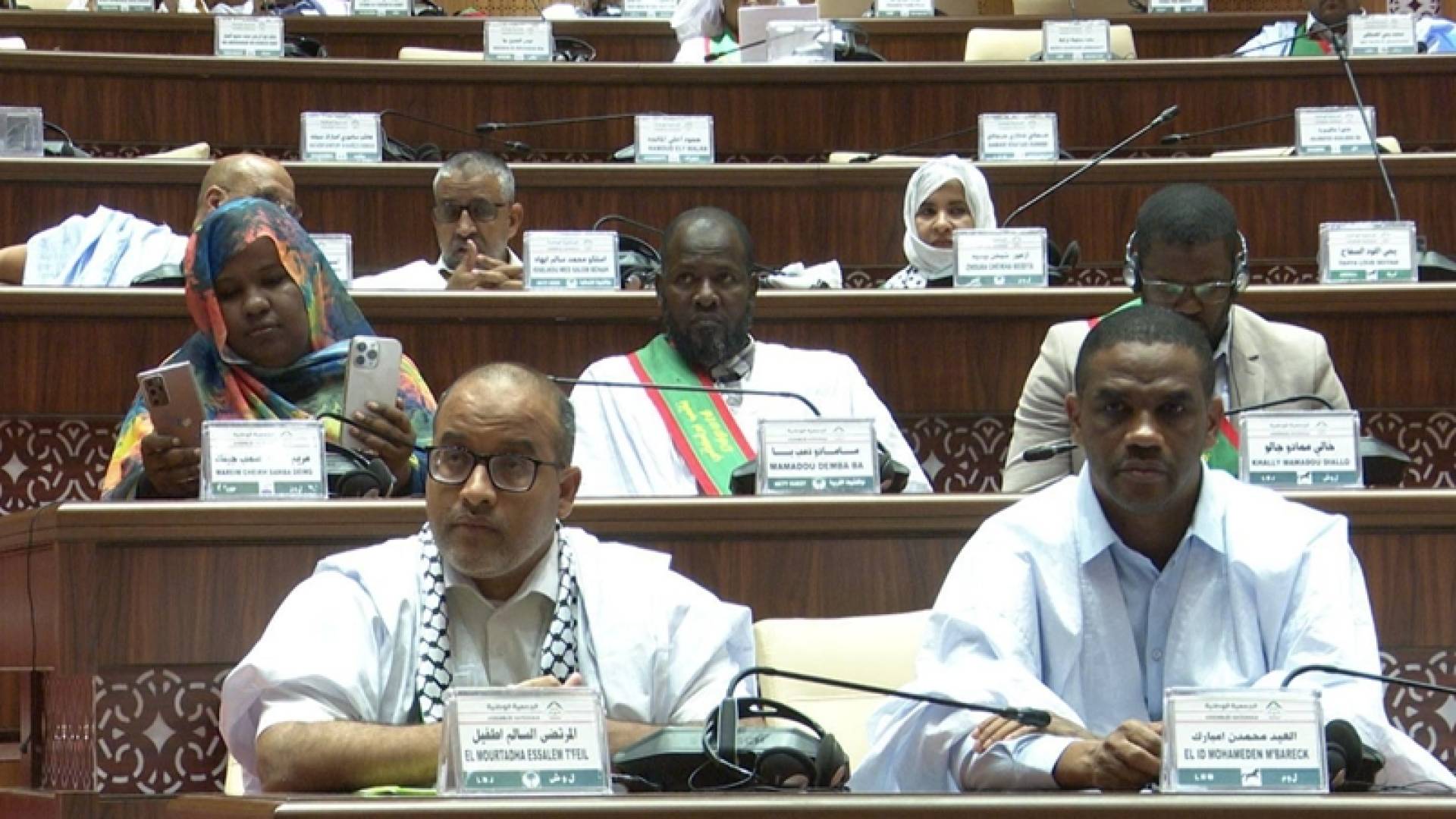 نواب موريتانيون