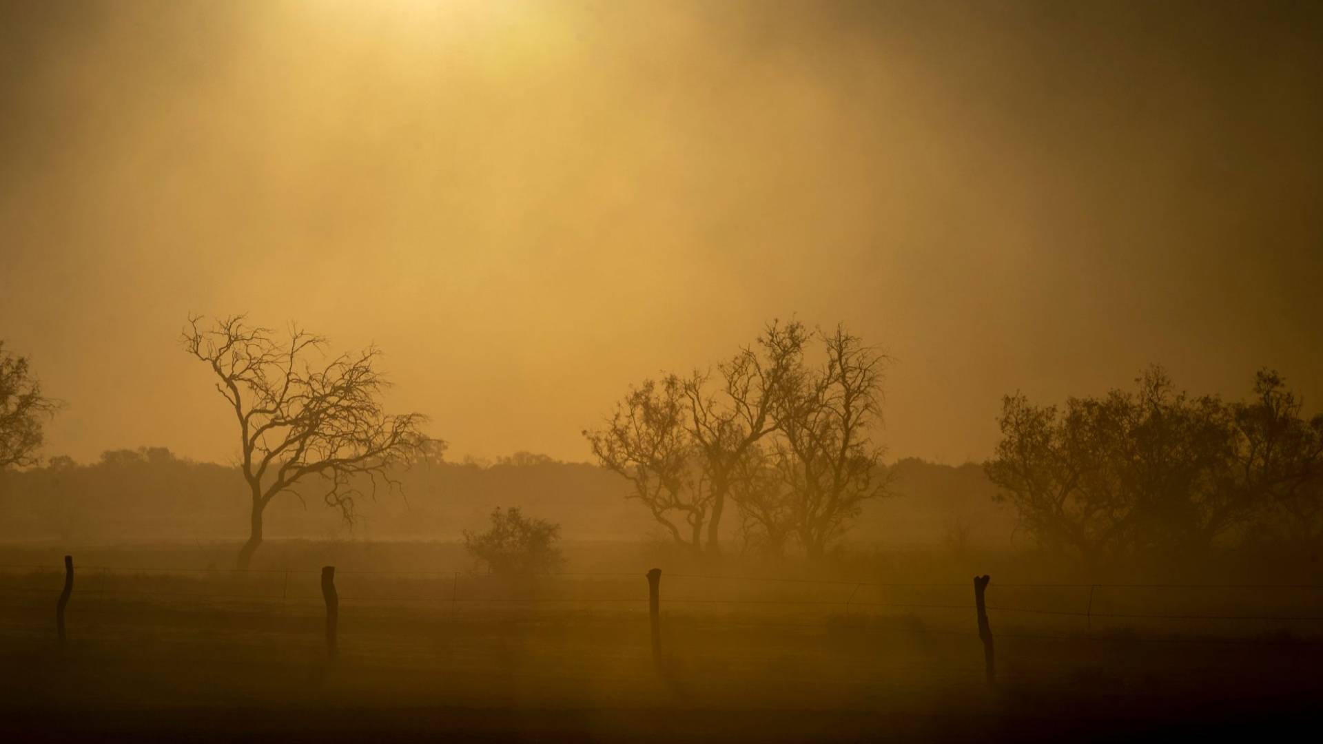 أجواء مغبرة