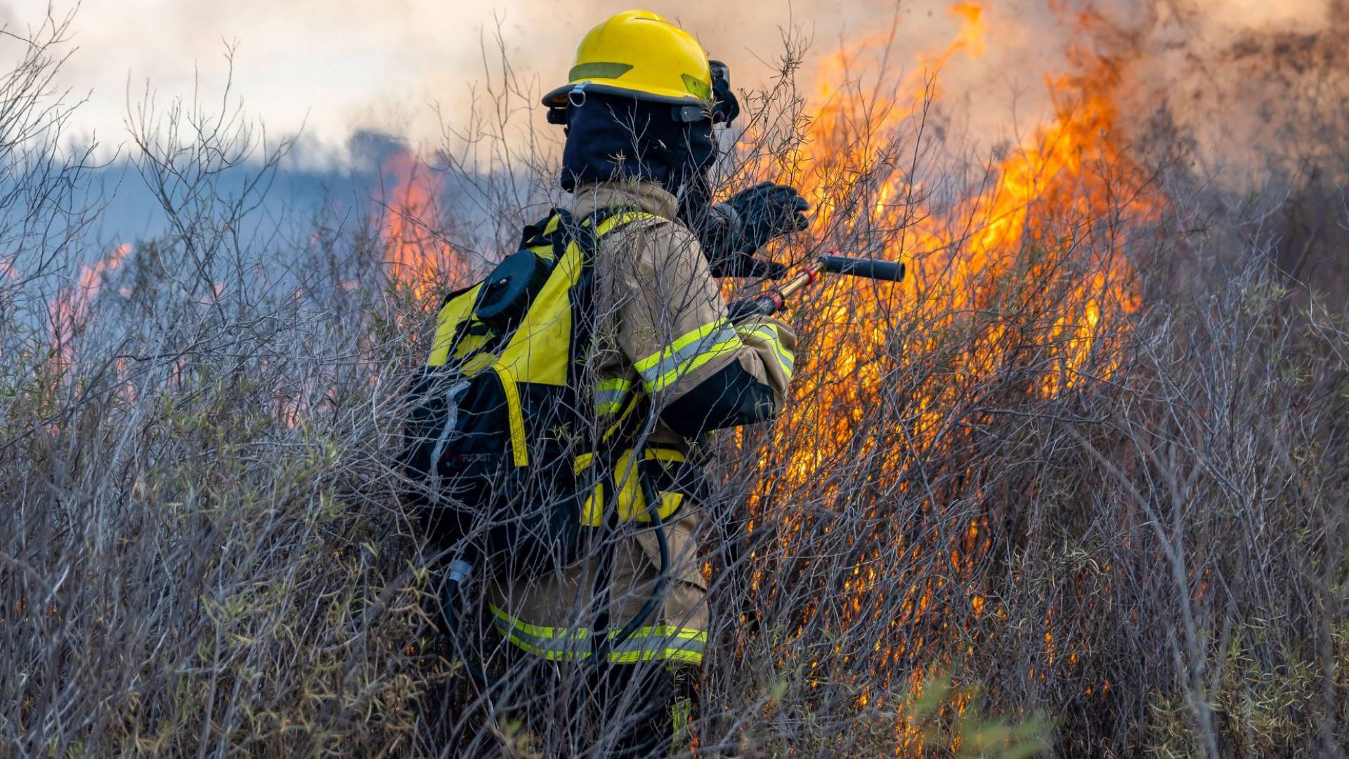 الأمن العام: السيطرة على حريق أعشاب قرب مصنع بلاستيك في البلقاء