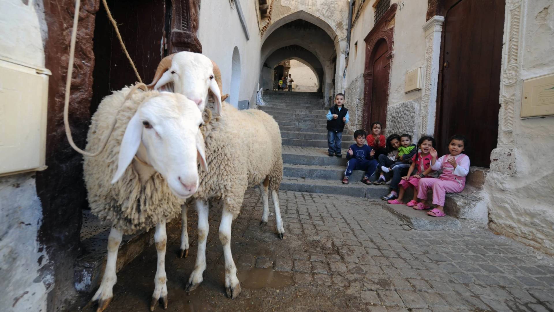 تعرف إلى موعد عيد الأضحى 2025 /1446 فلكيا