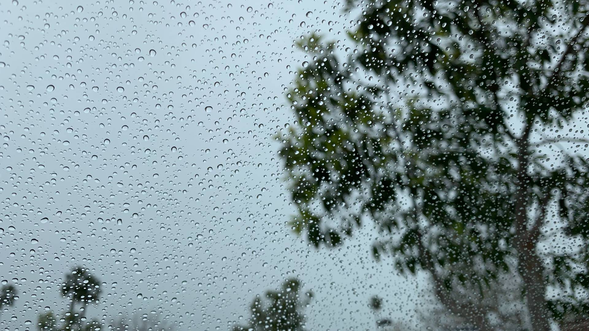 أمطار - تعبيرية