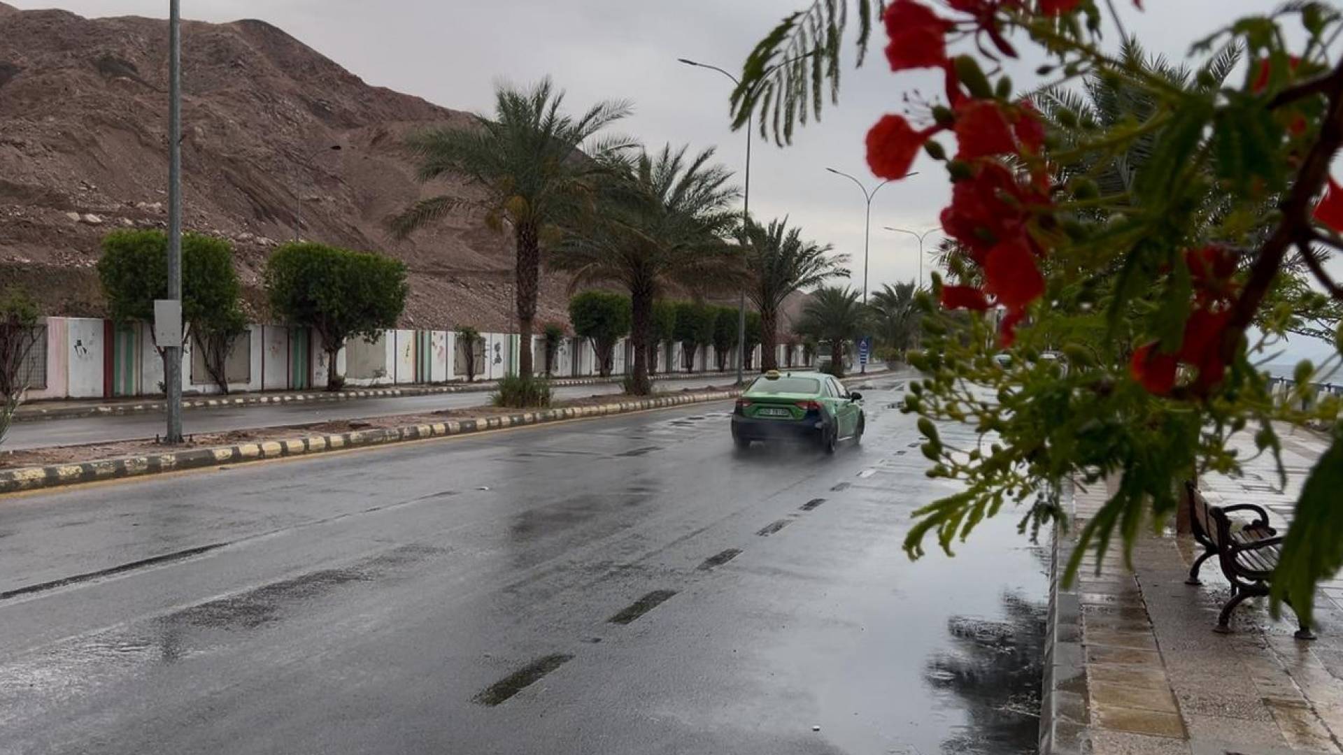 الامطار في العقبة