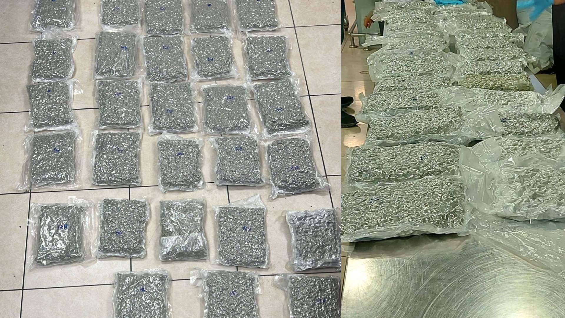 صور تظهر المضبوطات