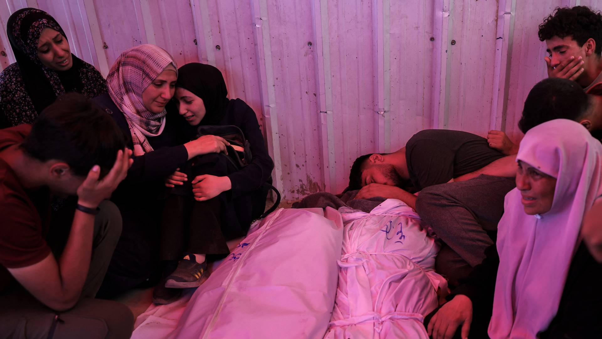 شهداء في غزة