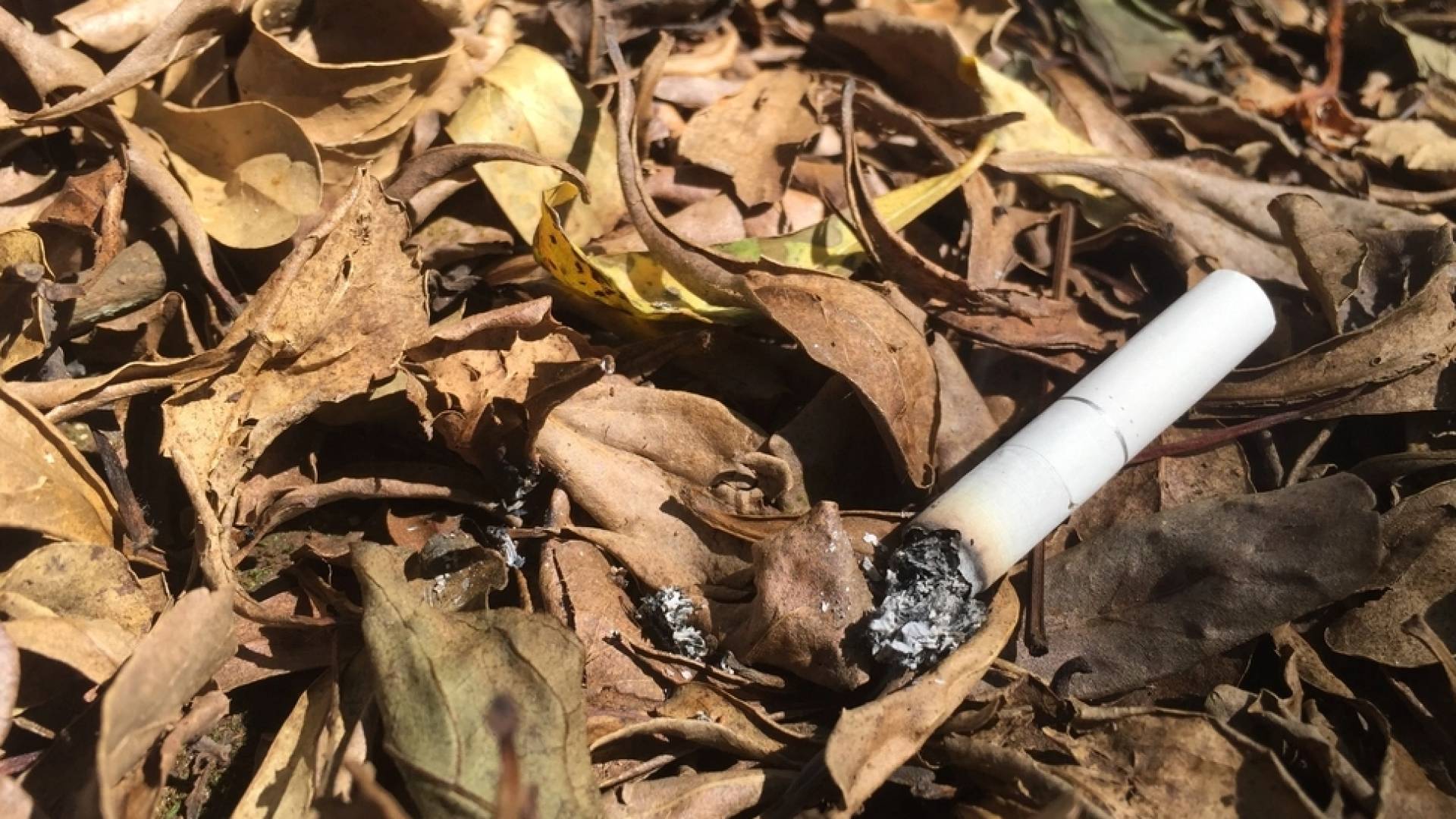 أعقاب سجائر - تعبيرية