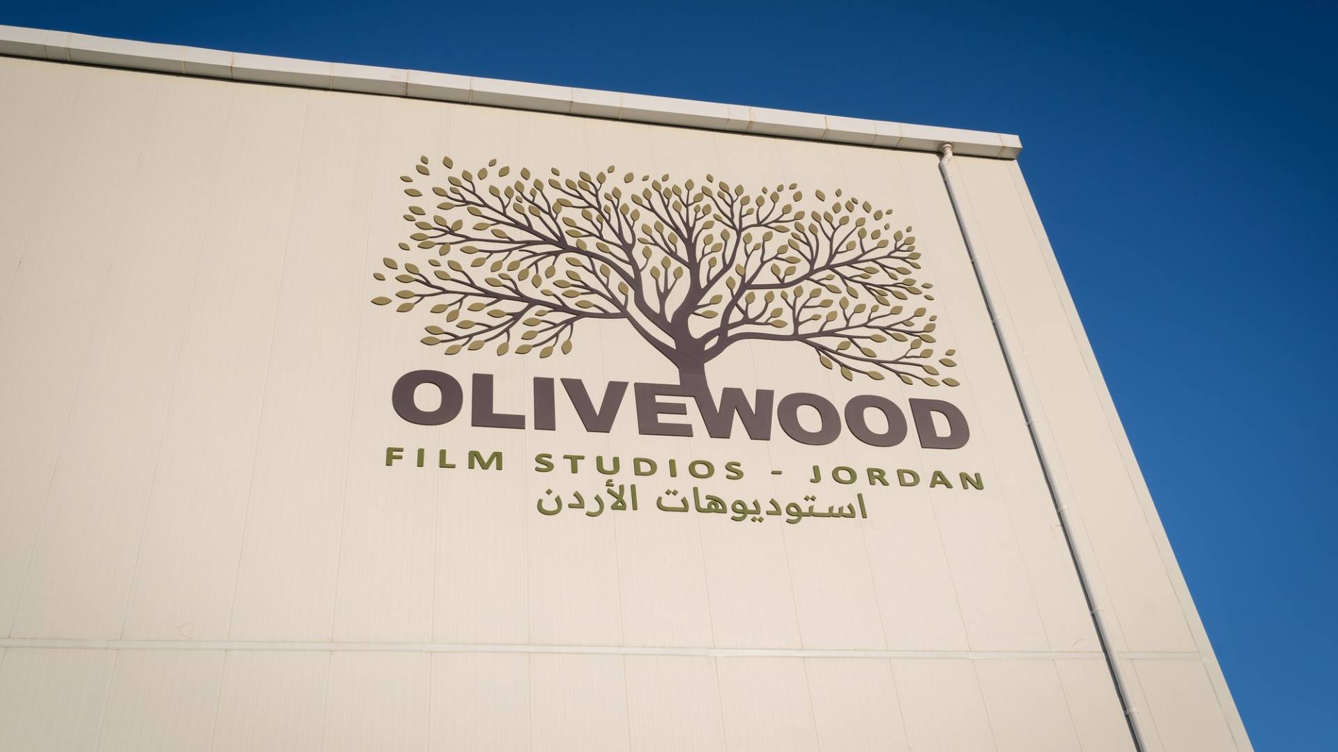 استوديوهات "Olivewood"