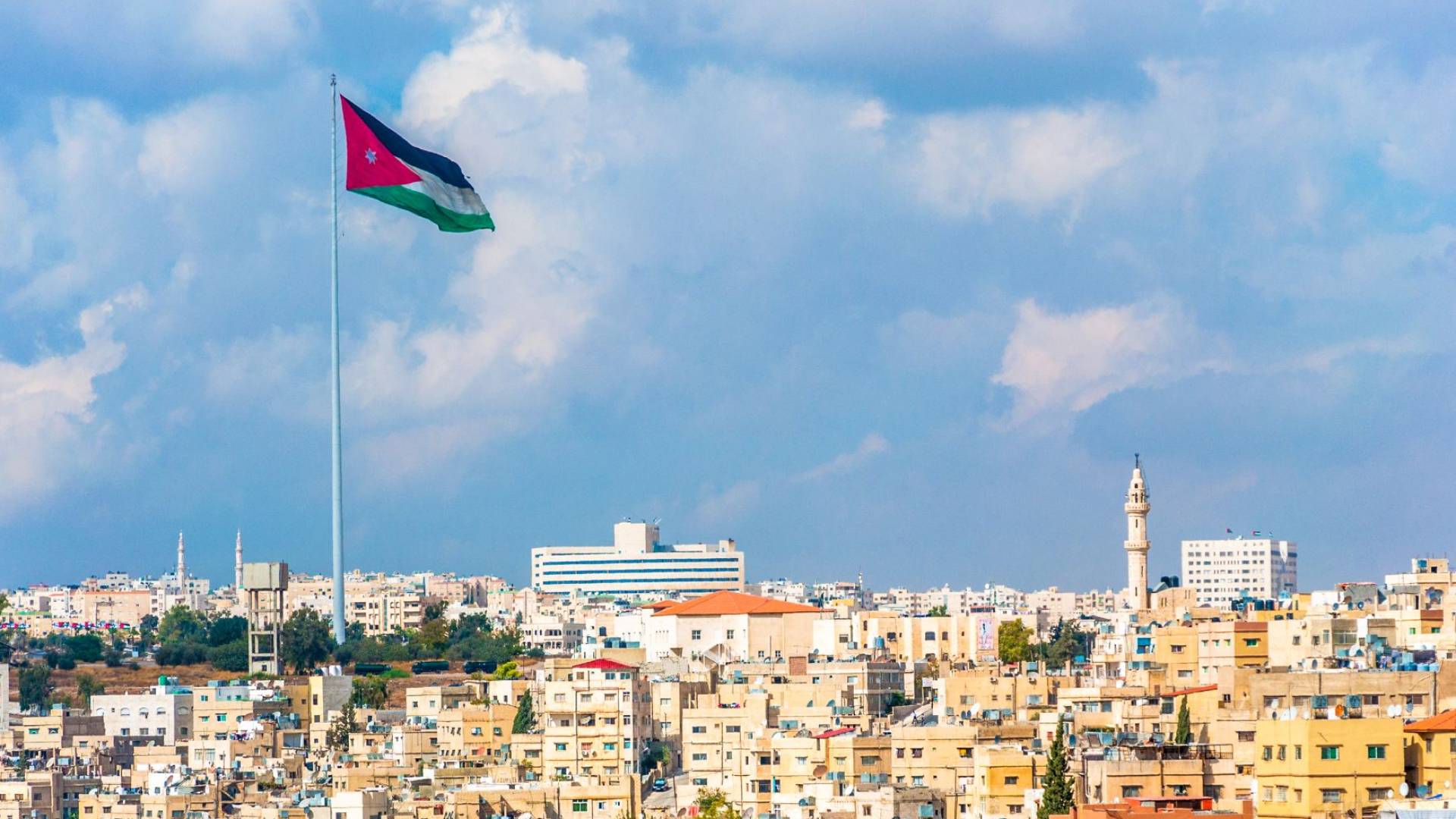 التنمية الاجتماعية تحيل ملف تستر أشخاص على ملكيات لجماعة الإخوان المنحلة للنائب العام