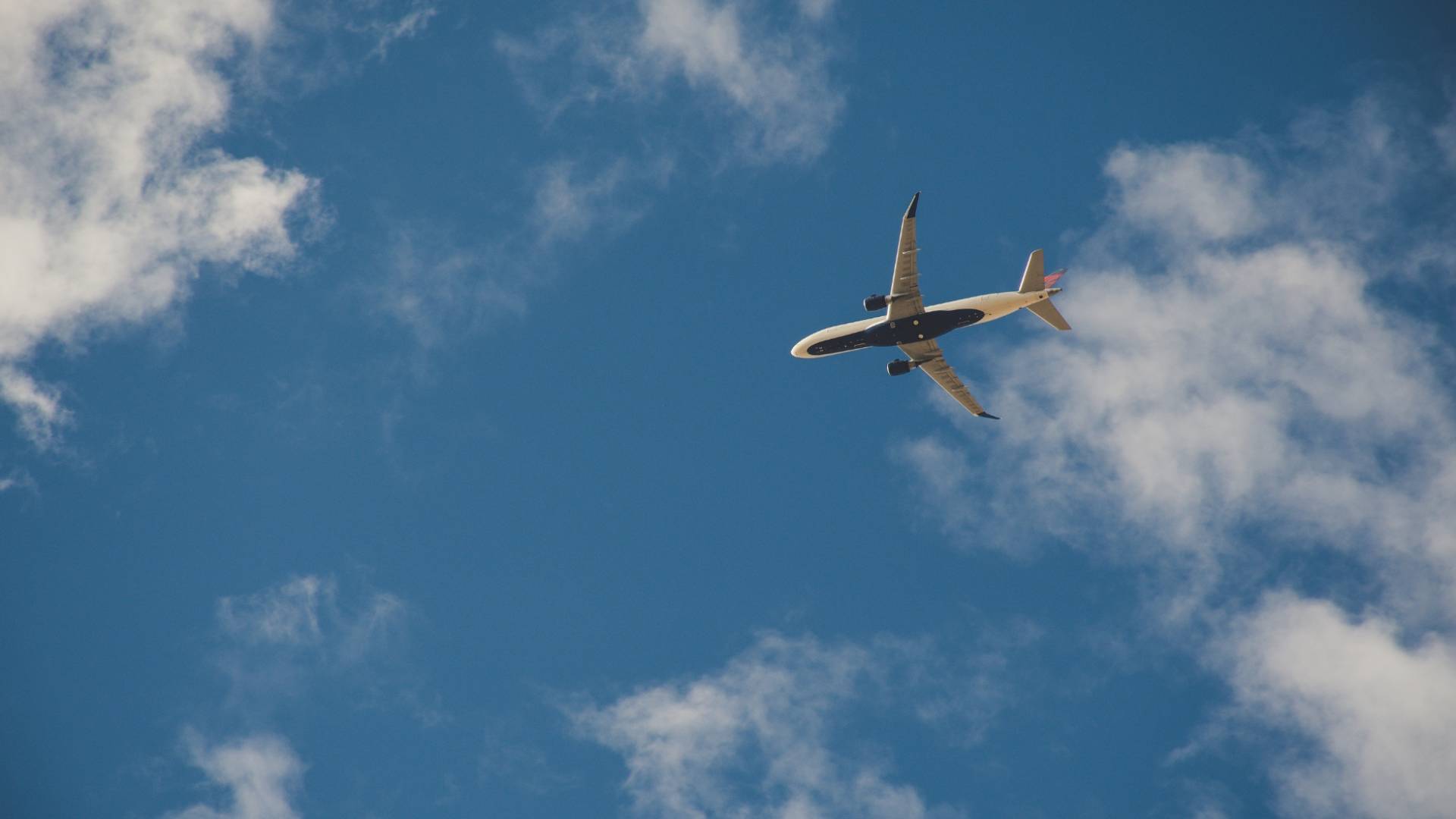 طائرة في السماء