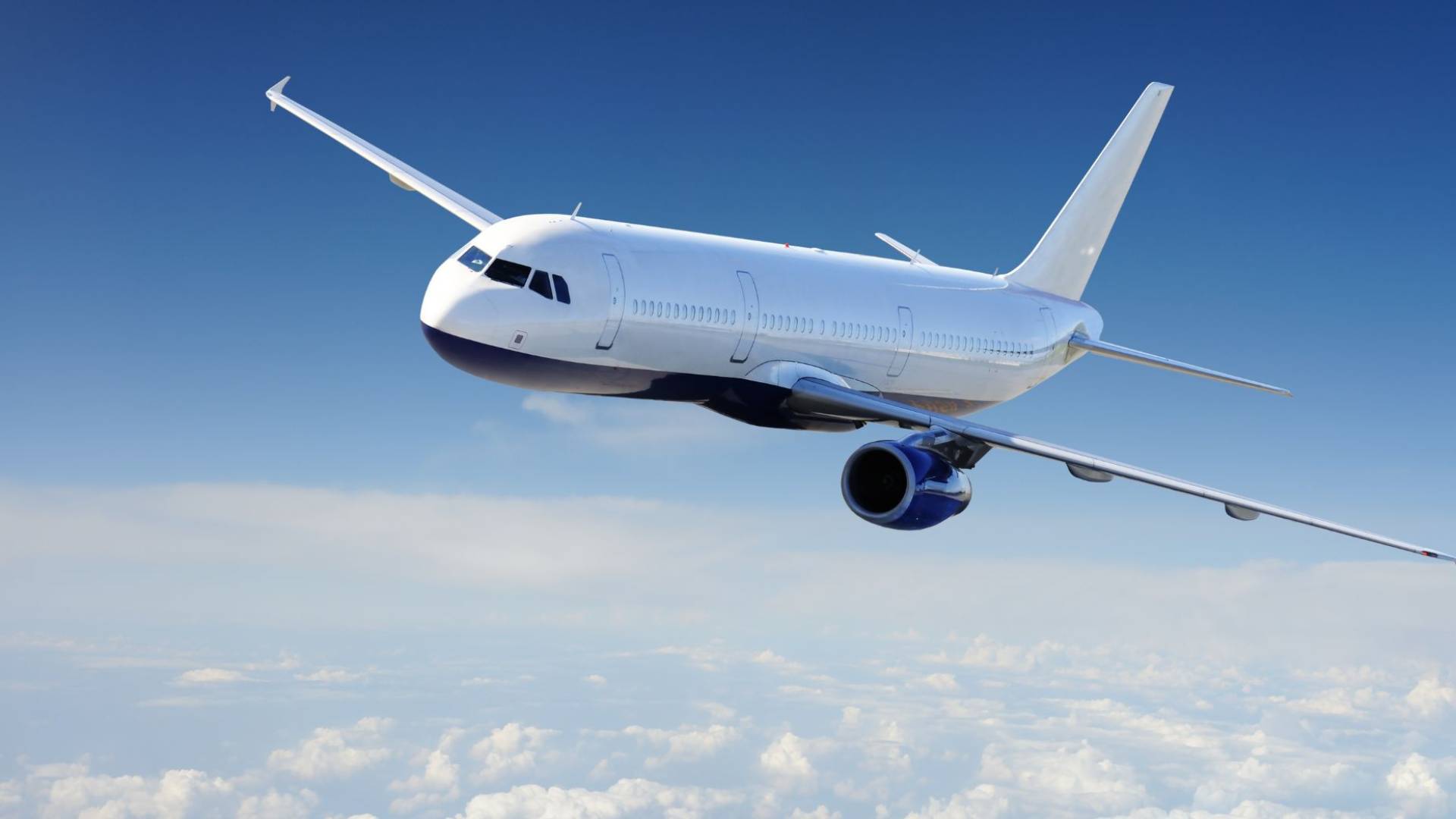 صورة تظهر رحلة طيران