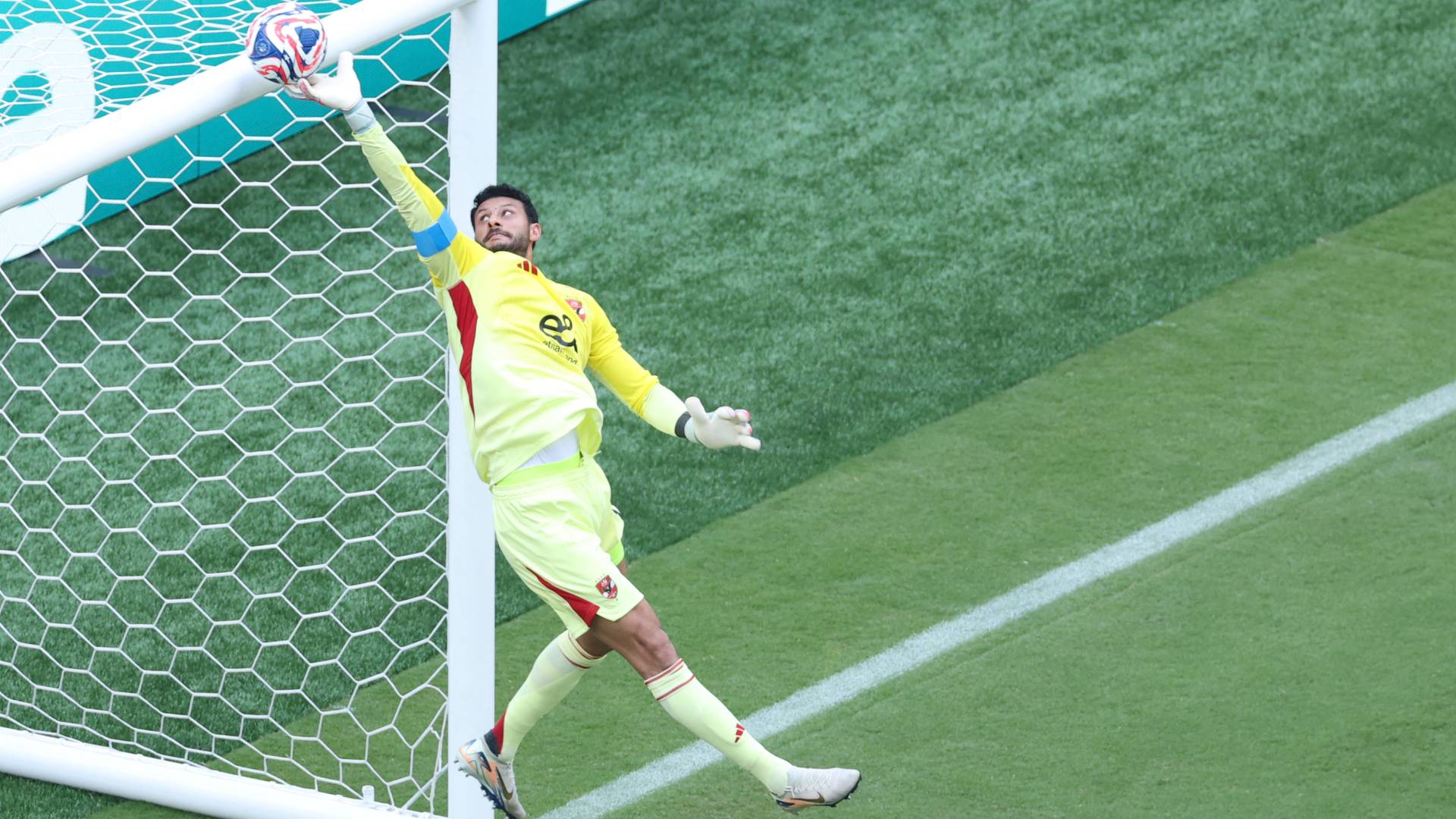 محمد الشناوي