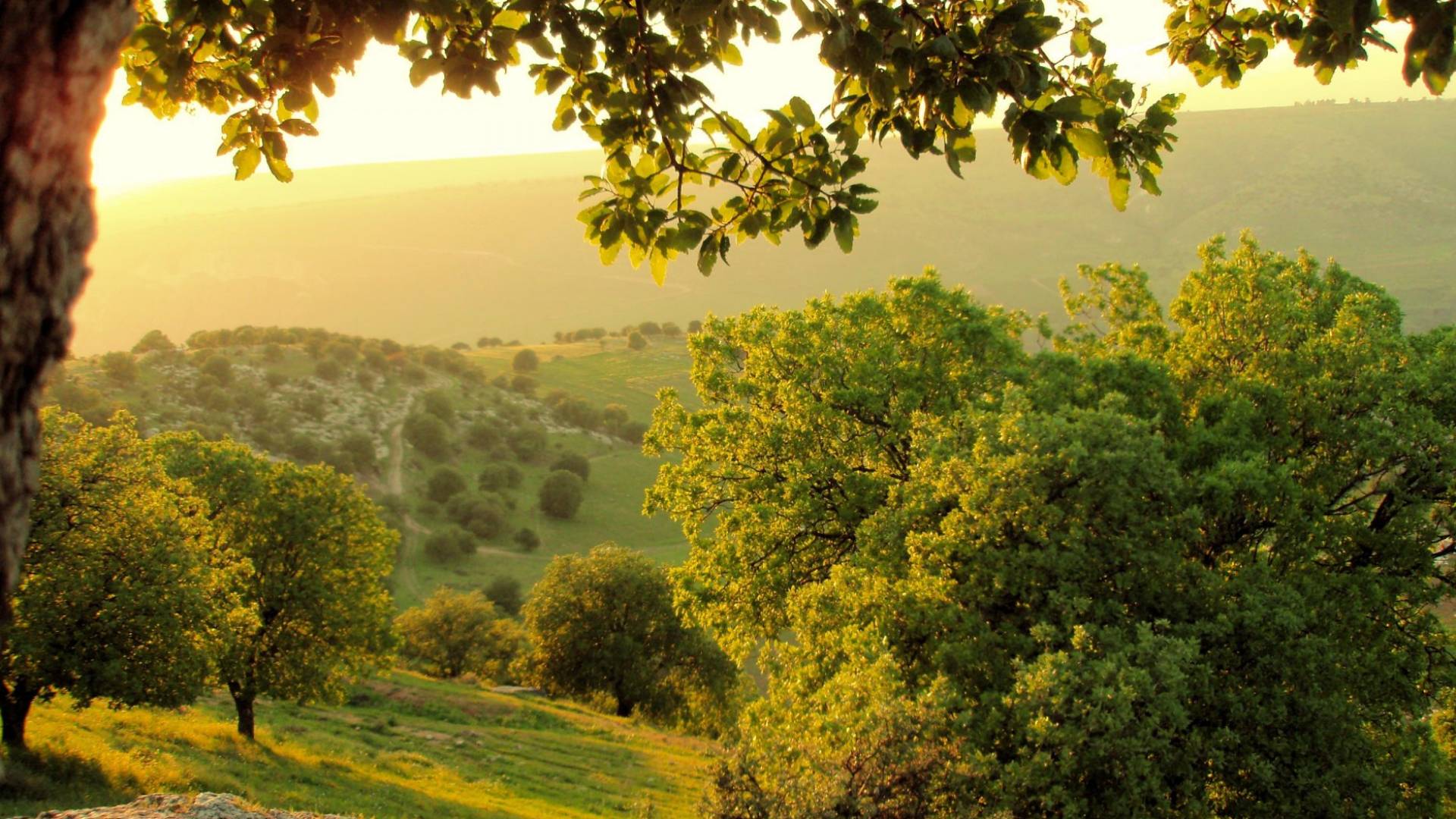 لقطة عامة من عجلون