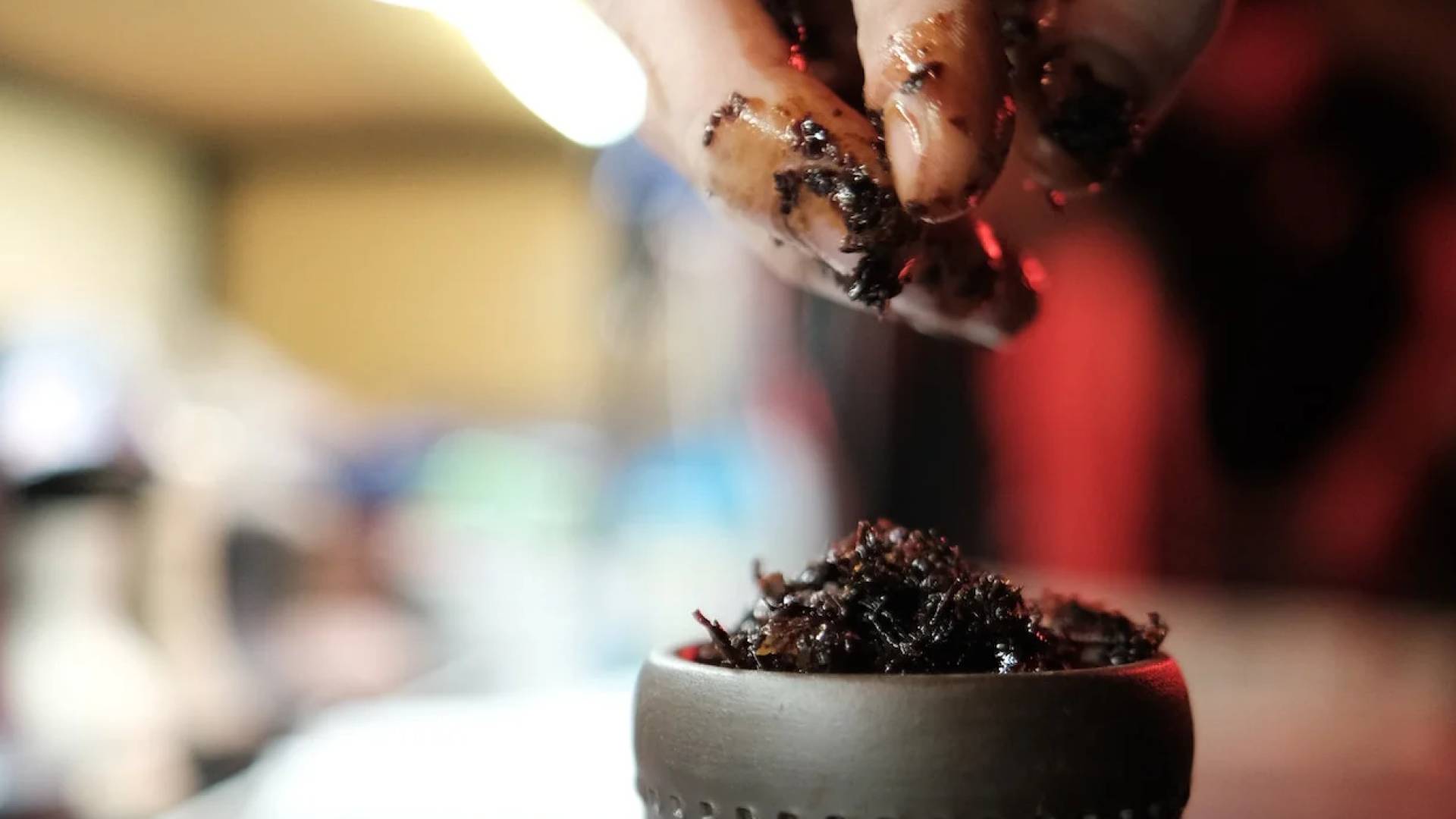 الغذاء والدواء: إغلاق مصنع معسل غير مرخص ومخالف تابع لإحدى كبرى الشركات