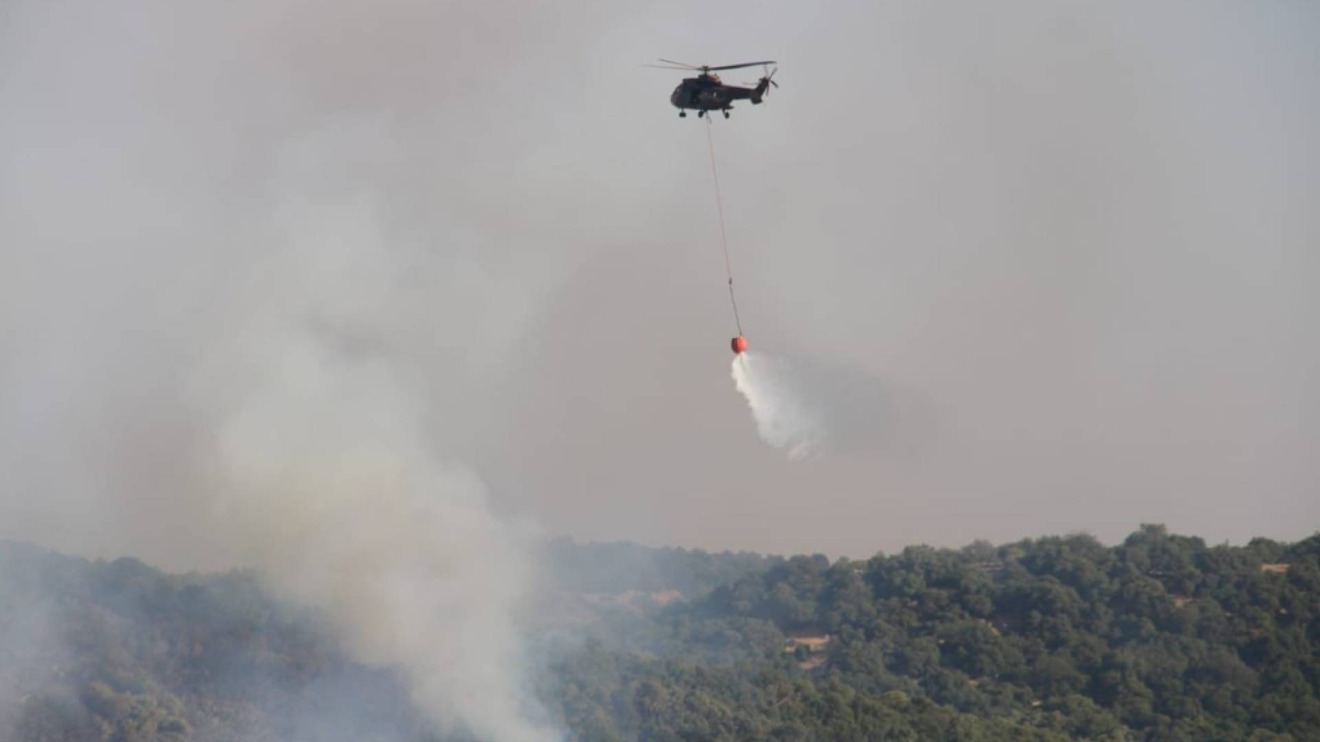 طائرات سلاح الجو الملكي تواصل جهودها في إخماد حرائق الغابات في سوريا