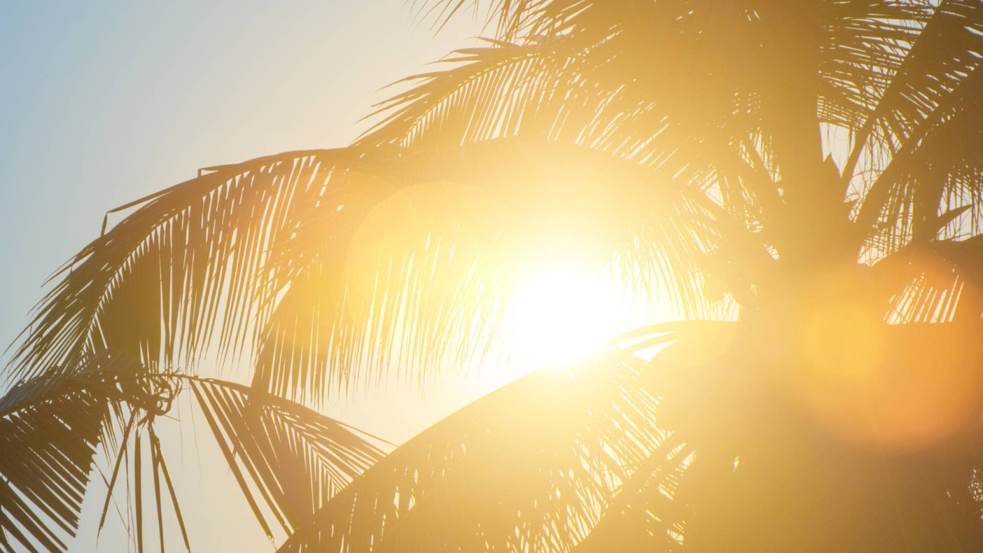 ارتفاع درجات الحرارة