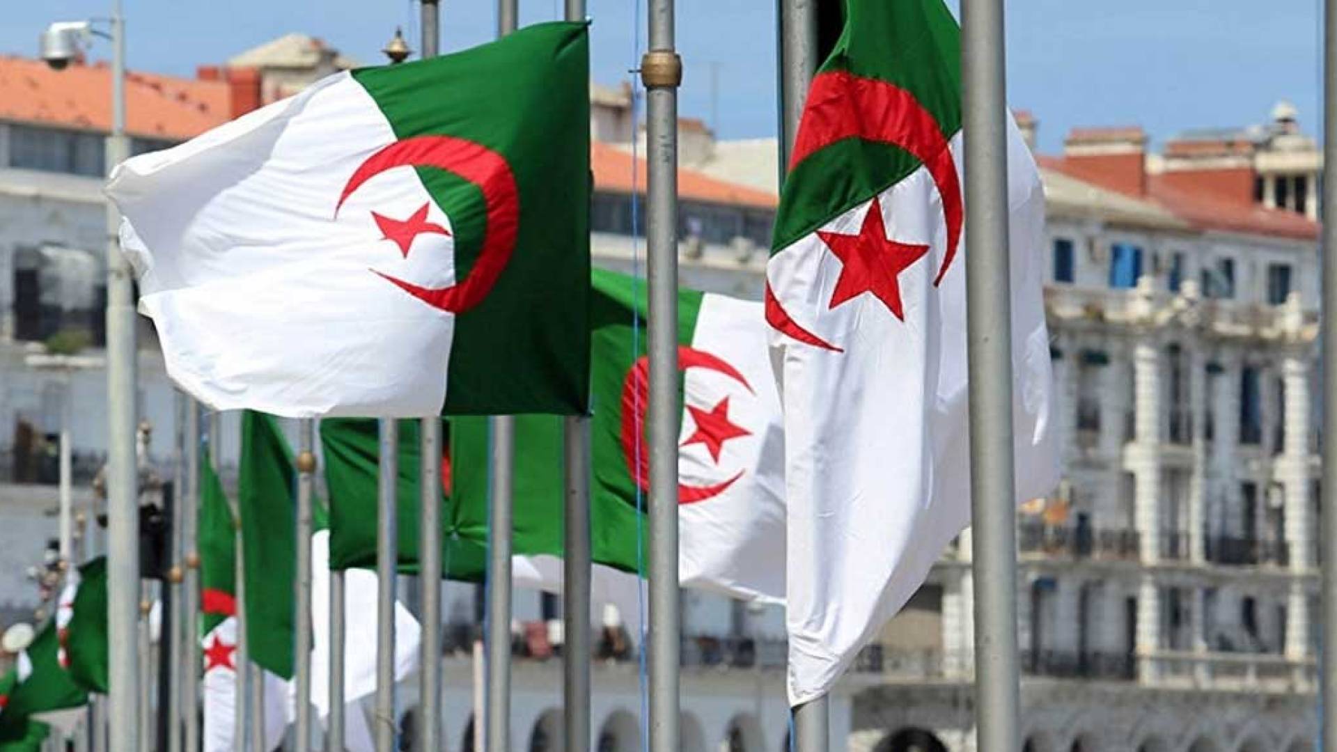 علم الجزائر