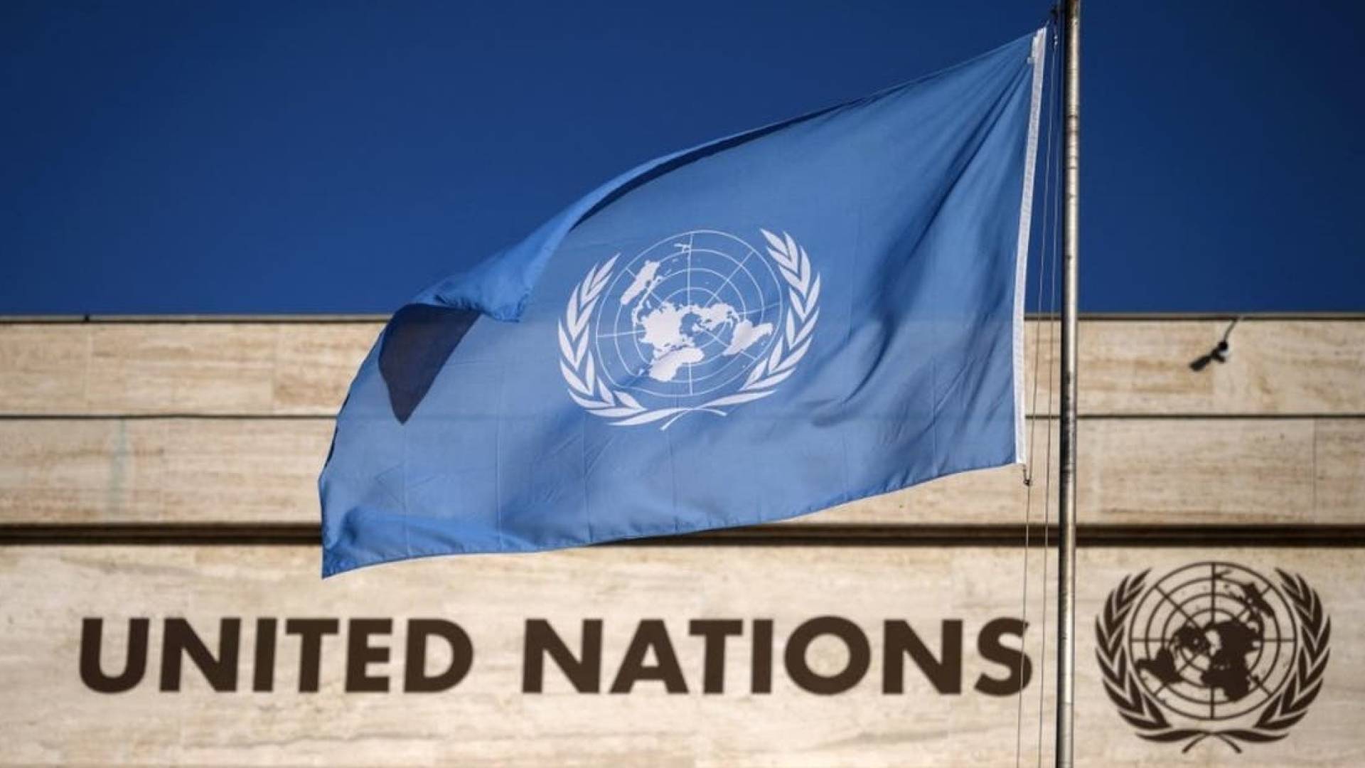 الامم المتحدة