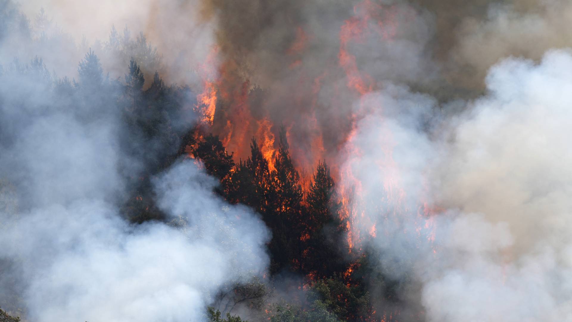 الحرائق في إسبانيا