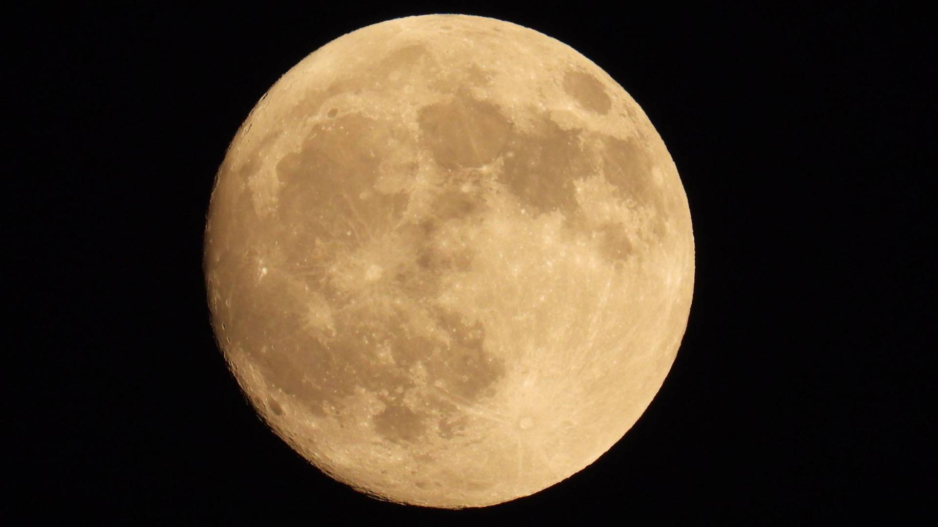 البدر من العاصمة عمان