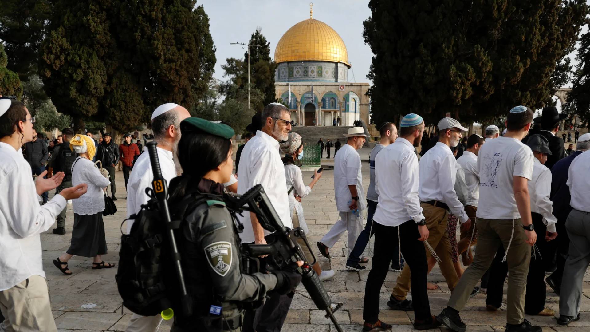 الاحتلال ومستوطنوه