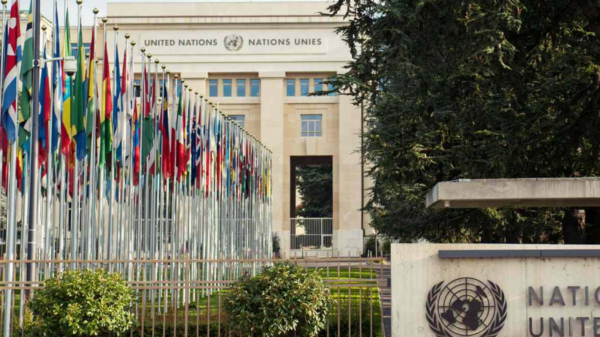 منظمة الامم المتحدة
