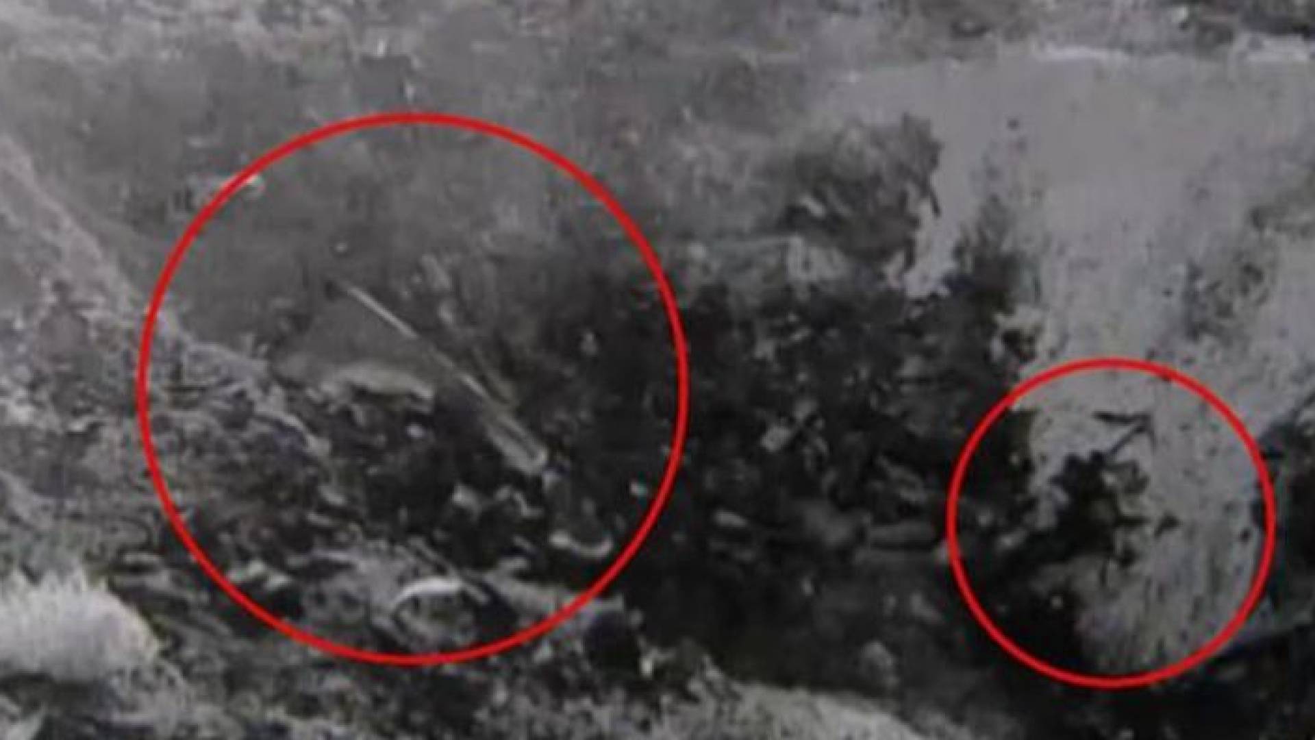 لقطة من الفيديو