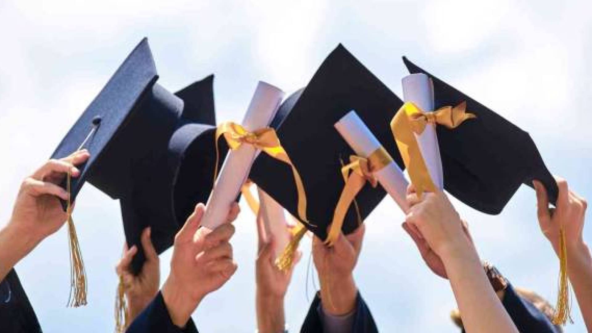 "التعليم العالي" تعلن نتائج الانتقال بين الجامعات والتخصصات لطلبة "مكرمة العشائر"