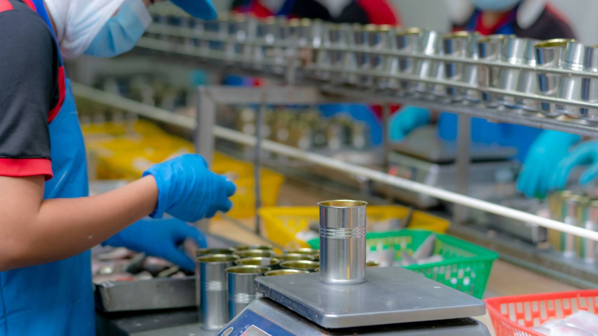 مصنع الاغذية