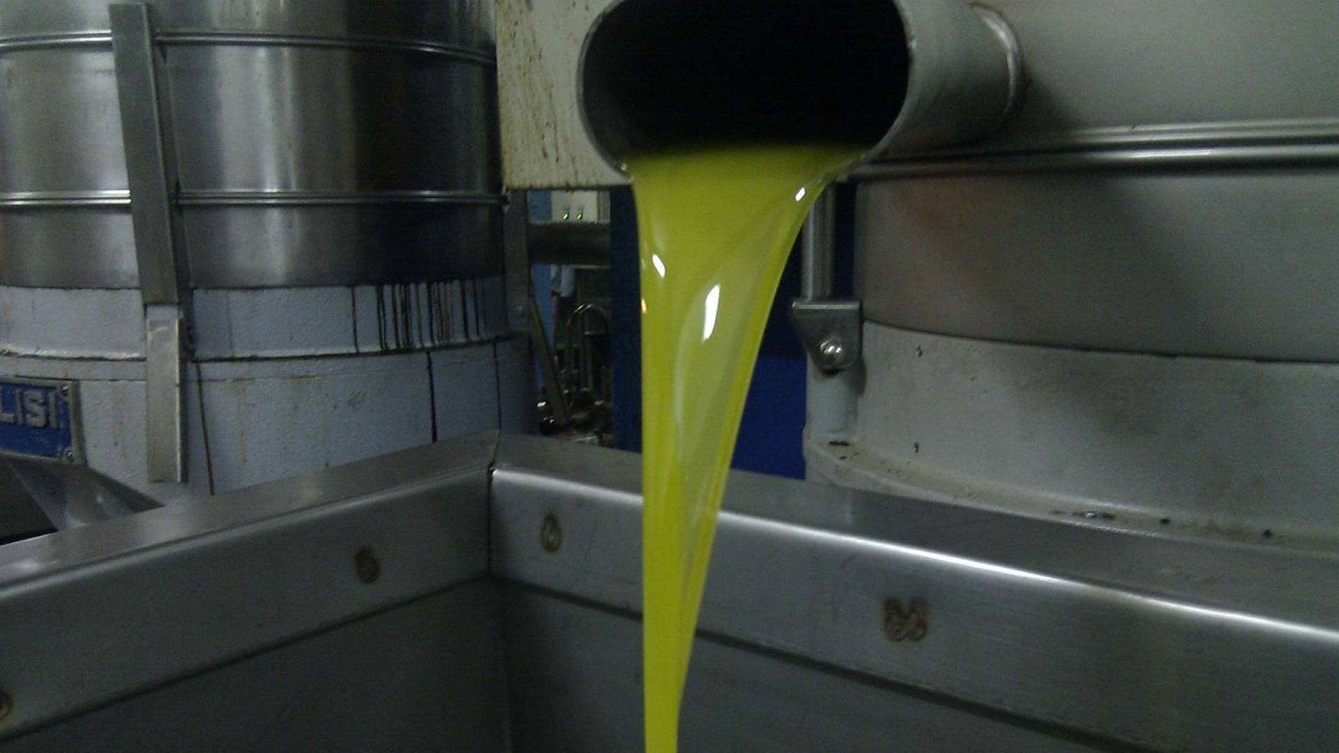 معصرة زيتون