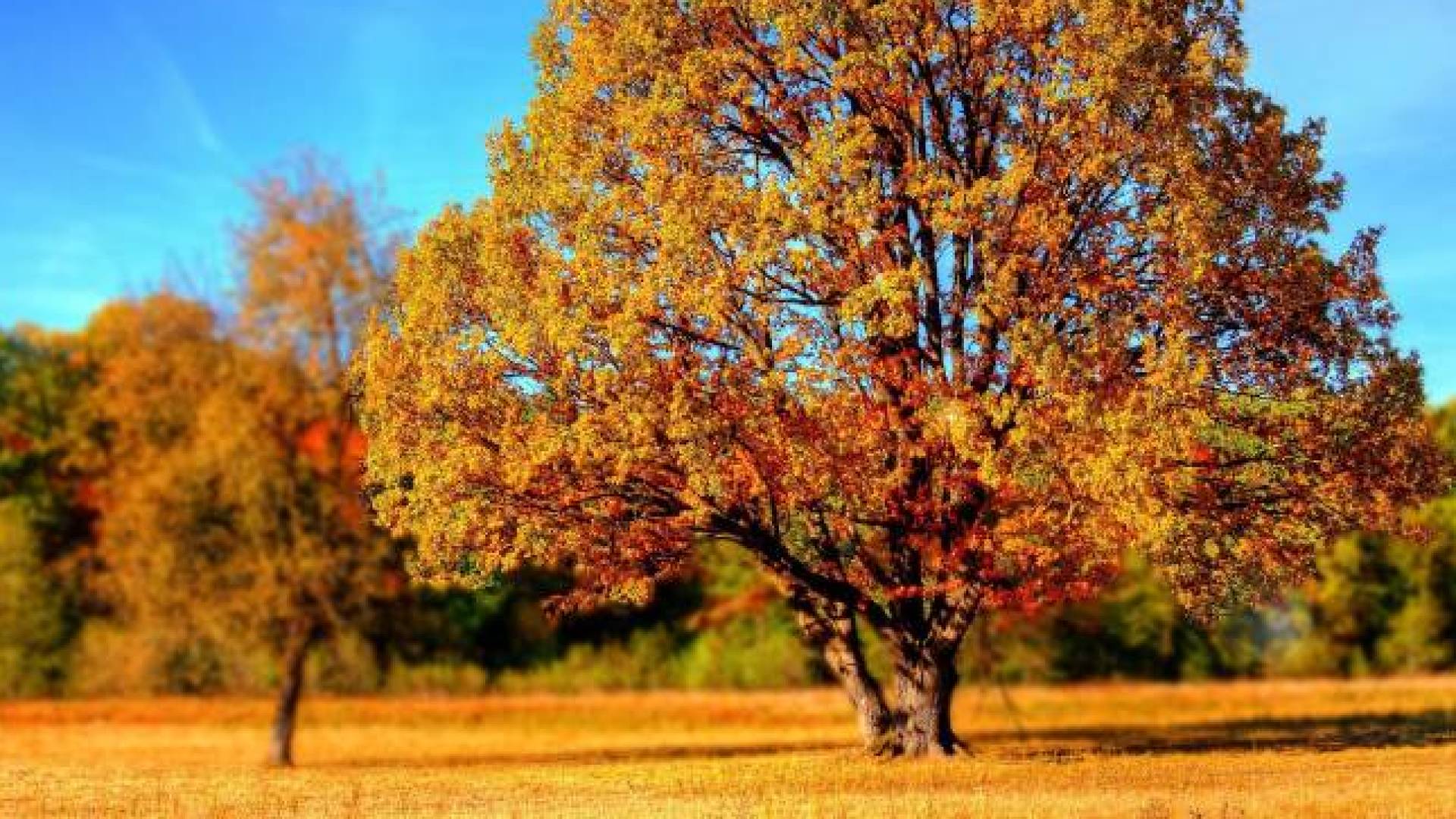 أجواء خريفية لطيفة في الأردن وارتفاع تدريجي على حرارة النهار خلال الأسبوع