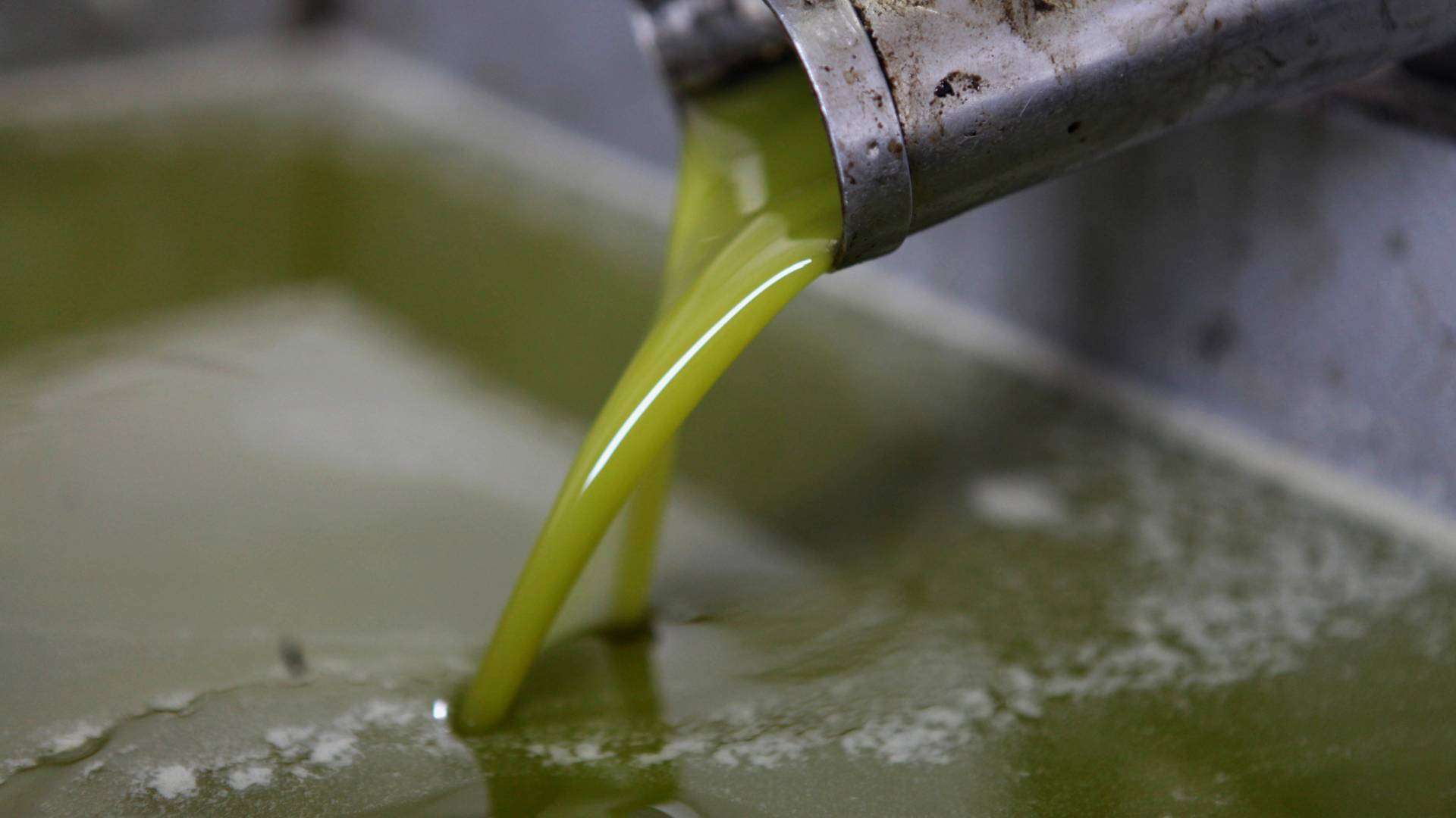 معصرة زيتون